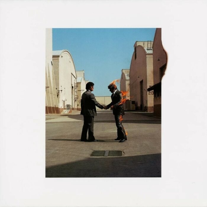 WISH YOU WERE HERE [Vinilo]