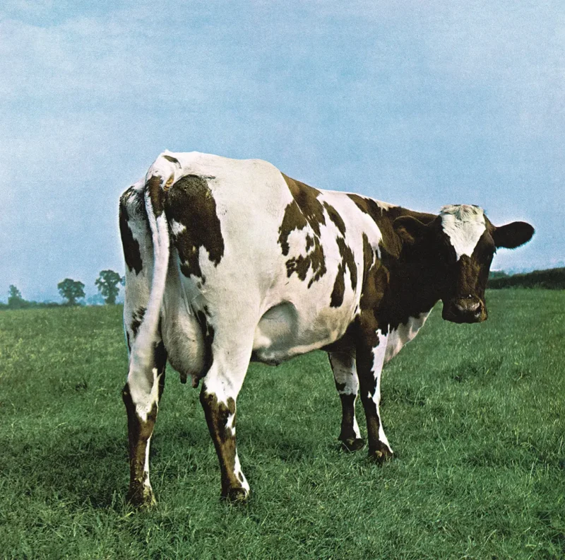 ATOM HEART MOTHER Pink Floyd Album cover original