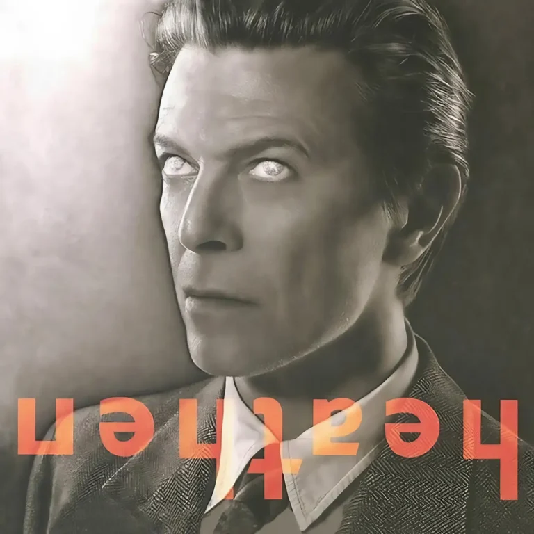 DAVID BOWIE Heathen Vinyl cover