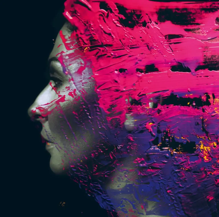 Hand Cannot Erase Steven Wilson