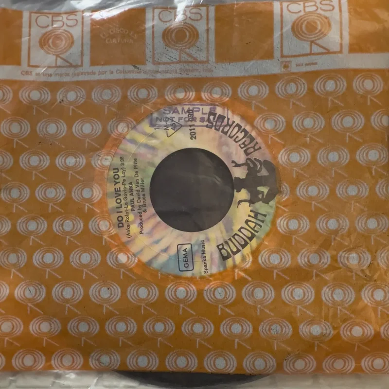 PAUL ANKA Do I Love you