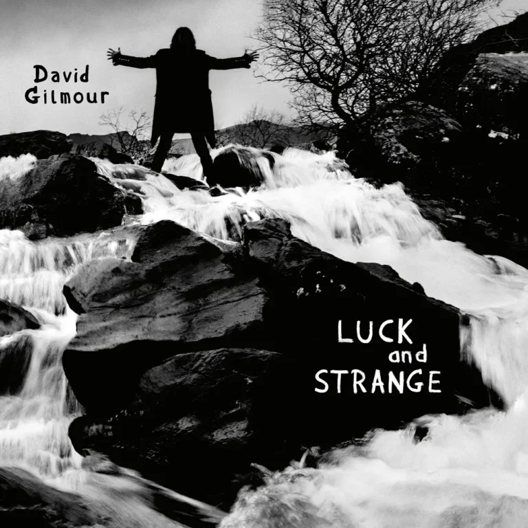 DAVID GILMOUR Luck and Strange VINILO