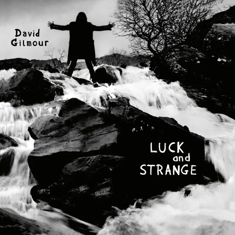 DAVID GILMOUR Luck and Strange VINILO