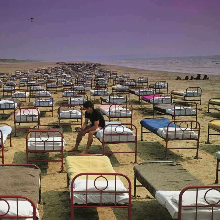 PINK FLOYD A Momentary Lapse For Reason cover