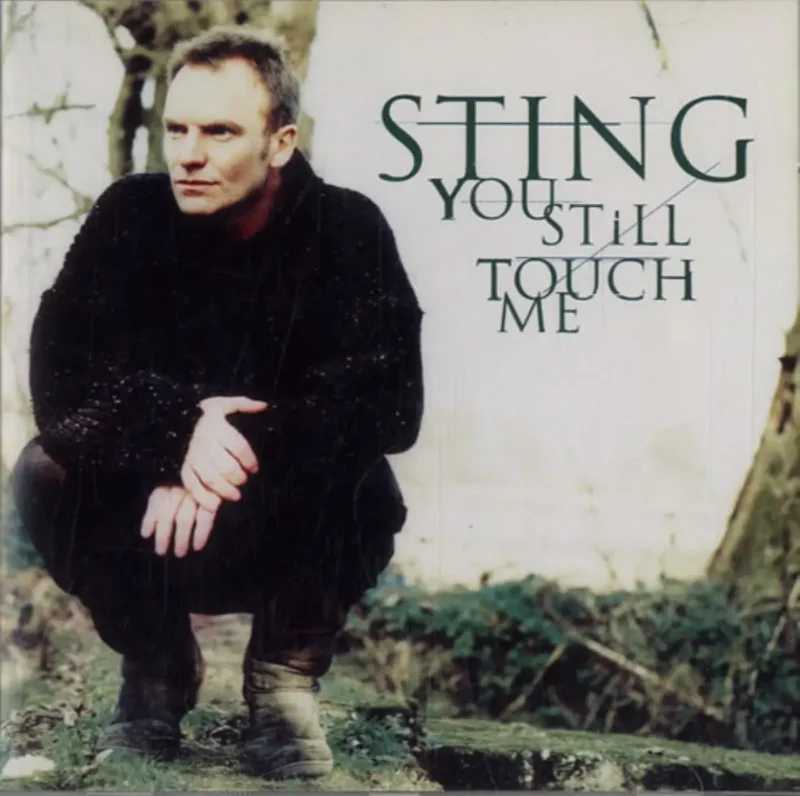 STING You Still Touch Me Single
