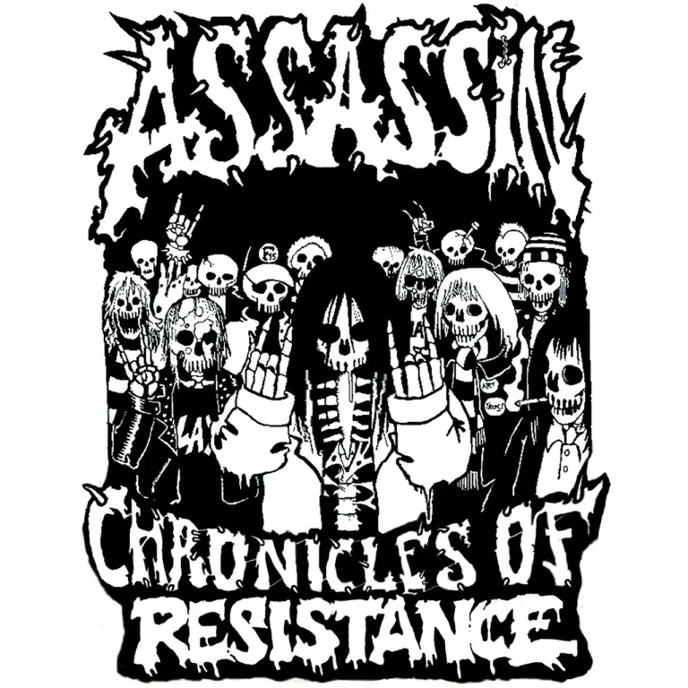 ASSASSIN Chronicles of resistance cd