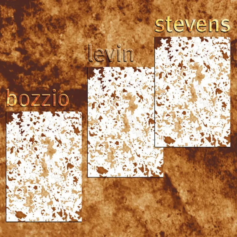 BOZZIO LEVIN STEVENS Situation Dangerous