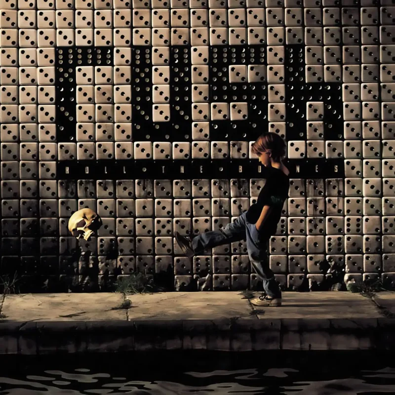 RUSH ROLL THE BONES